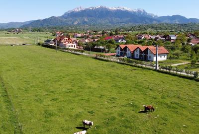 Teren plat P +4 Bran, panoramic munti, DN73, toate utilitatile - 1