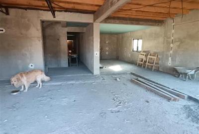 Vila P+M, 2022 Radu Negru-Vizirului Sup construita=400mp,  Teren 512 mp - 16