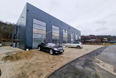 Spațiu comercial, 1200 mp în Baciu