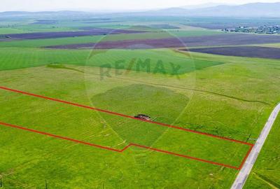 5 hectare teren agricol cu front la șosea, zona Sântana - 2