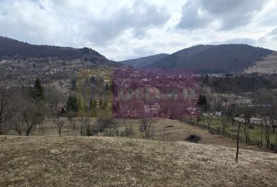 Teren intravilan de vanzare in Valea Doftanei - 2