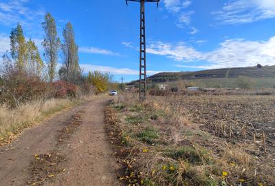 Teren de vânzare - Viile Sibiului, Sibiu, 5000 m²