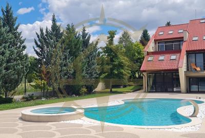 DOM00444 - Vila luxurianta la lac cu ponton si casa de barca  Snagov - 11