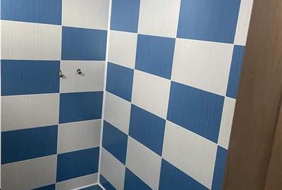 Casa de vanzare in Campineanca, parter si mansarda , suprafata 160 mp , teren 50 - 14