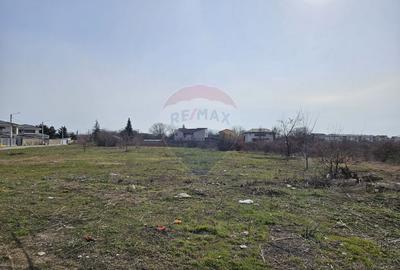 Teren Construcții intravilan de 5325 mp, în Odăi