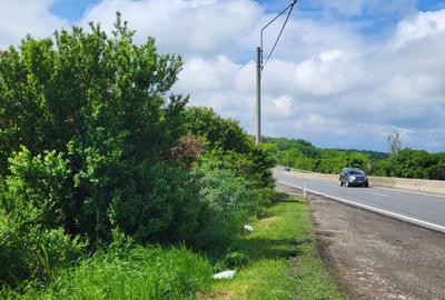 Teren agricol intravilan de 10000 mp, în Tâncăbești