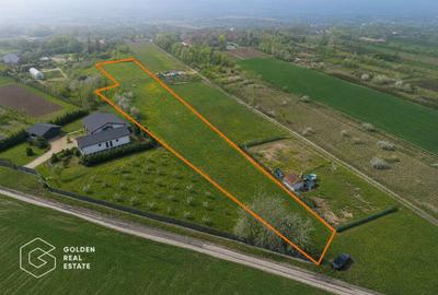 Teren intravilan Sanpaul, 2600 mp, posibilitate de parcelare - 1