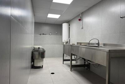 Spatiu Comercial 336 mp - Ultracentral, Piata Victoriei (Investitie) - 2
