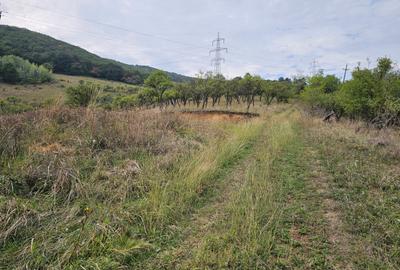 Teren Exclusivist cu vedere Panoramica - 6