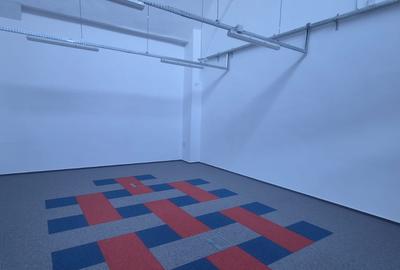 Spatiu de birouri / comercial / show room Domenii - Parcul Copilului - 10