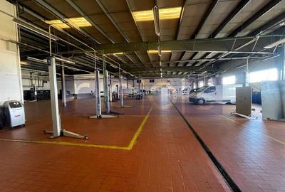 BRASOV-GHIMBAV | INCHIRIERE HALA +SHOWROOM | 6500 MP CONSTRUITI - 31