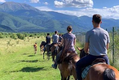 Teren intravilan 2500mp  pe Valea Avrigului,optim casa de vacanta - 6