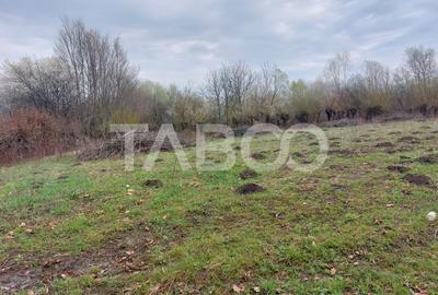 Teren intravilan pentru casa zona linistita 550 mp front 21 m Cisnadie - 7