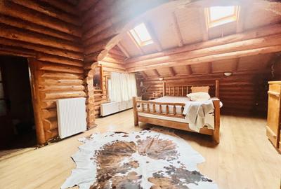 Cabana vânătorească din lemn cu vedere spectaculoasa, langa Castelul Cantacuzino - 20