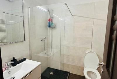 Apartament cu 1 camera - zona Tatarasi - Kaufland - 9