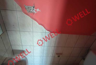Apartament cu 2 camere de vânzare în Sfântu Gheorghe, pe Aleea Prieteniei! - 8