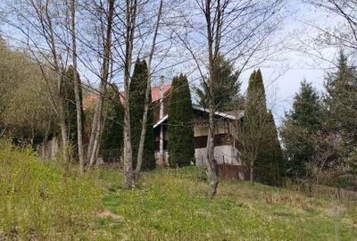 Proprietate de vacanta Valea Oltului - BREZOI - 22