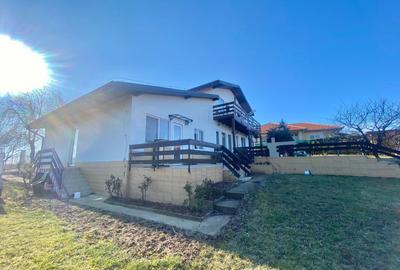 2 Case in regim P+M cu 9 camere, 3 băi, teren 1811mp, front 30m, Paleu - 3