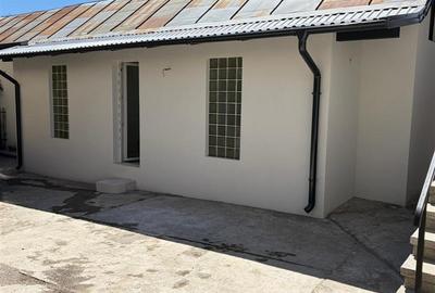 Construcție cu două camere și beci - Burdujeni - 16