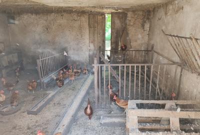 Casa 3 camere libera la vanzare TARLUNGENI - 19