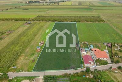Teren Construcții intravilan de 1503 mp, în Jucu de Sus