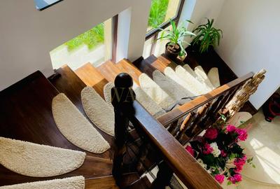 Casă cu 6 camere în Dej, lângă pădure, 800 m de centrul orașului - 13