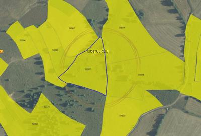 Teren intravilan in Marisel, 10630 mp, zona Cabana Motilor - 4