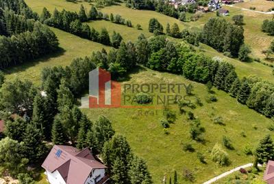 Teren intravilan Bran 2.772 mp | Vedere Piatra Craiului | Potrivit pentru cabane - 2