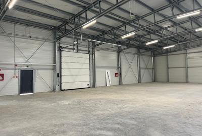 Hala de inchiriat depozitare si productie 1550 mp. Mogosoaia - Buftea - 11