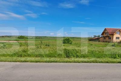 Teren Construcții intravilan de 2000 mp, în Pielești