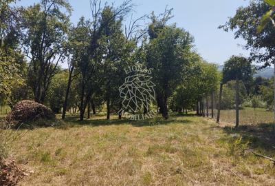 Teren Construcții intravilan de 2828 mp, în Dorolea