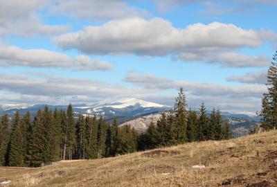 Teren Construcții intravilan de 10000 mp, în Șaru Dornei