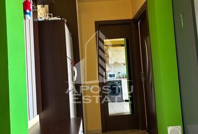 Apartament cu 2 camere, 42 mp, la cheie, zona Sagului in Timisoara - 10