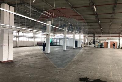 Hala 400 m productie - depozitare  – Lift 3t, Acces TIR, zona Aeroport - 7