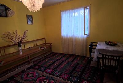 Casa cu teren 42 ari Deschidere la DJ 208A – Suceava - Bosanci - Liteni - Dolhas - 13