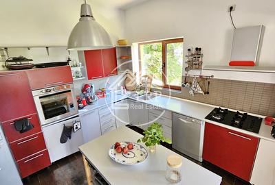 Ciolpani/Izvorani/Padurea Snagov-Vila 5 camere,P+1, 268mp utili, teren 1067mp - 18