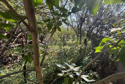 Casa individuala | 200 mp util | 780mp teren | Zona TCI | Borhanci - 2