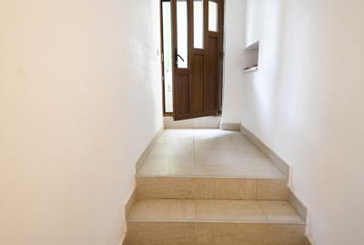 Demisol multifunctional central de inchiriat - zona Piata Mare - 12