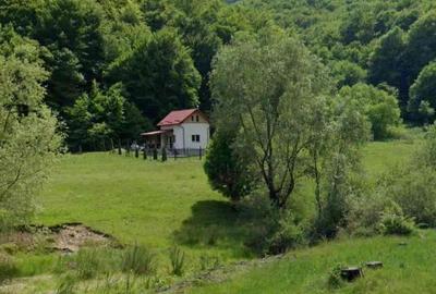 Ultimul teren intravilan Valea Măierușului | PUZ turistic aprobat | COMISION 0% - 1