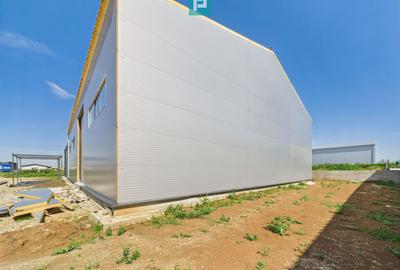Hală industrială în zona Giarmata – Timiș - 9
