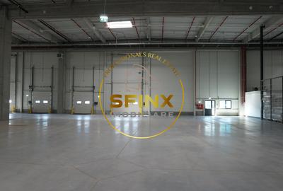 Spatiu industrial, clasa A, zona centura nord, Stefanesti - Afumati - 8