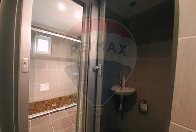 Casă / Vilă cu 7 camere   în zona Bran-Tohanita - 38