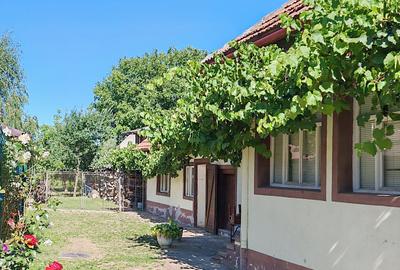 Râșnov - zona Eminescu, casa cu 1000 mp teren. - 4