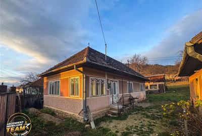 Casa rustica, cu teren roditor de peste 1.000mp, Sanzaieni, Covasna - 43