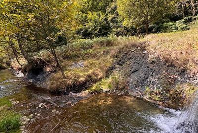Vila de Vânzare în Cheia, Prahova - Relaxare și Confort într-un Cadru Natural de - 60