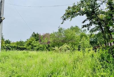 Teren intravilan 1600 mp | Valea Avrigului | zona turistica - 2