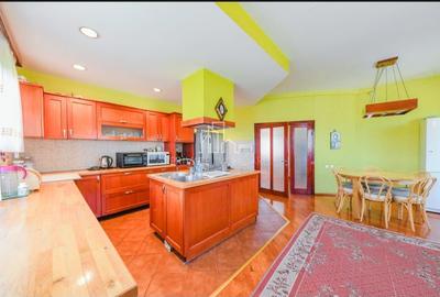 Vila/Proprietate Speciala, 500mp utili, 3300mp teren, Sangeorgiu de Ms - 13