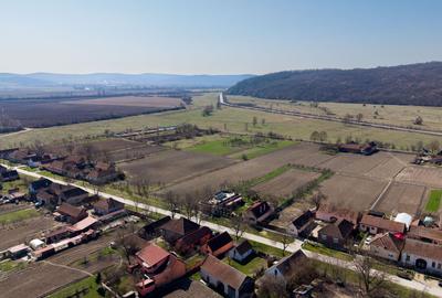 Loc de casă în Odvoș - Conop 3000mp - 25
