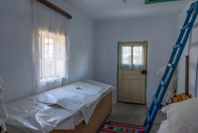 Remus Lăcătușu 58, Măgirești — pentru cei care au decis că vor curte - 11