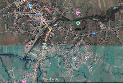 Casa de vanzare Targu Lapus zona centrala cu teren 3800mp si anexe - 1